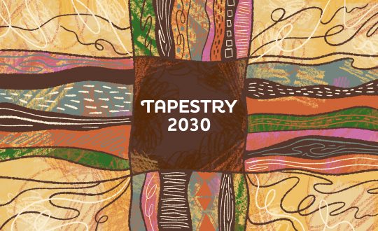 tapestry 2030 cover artwork
