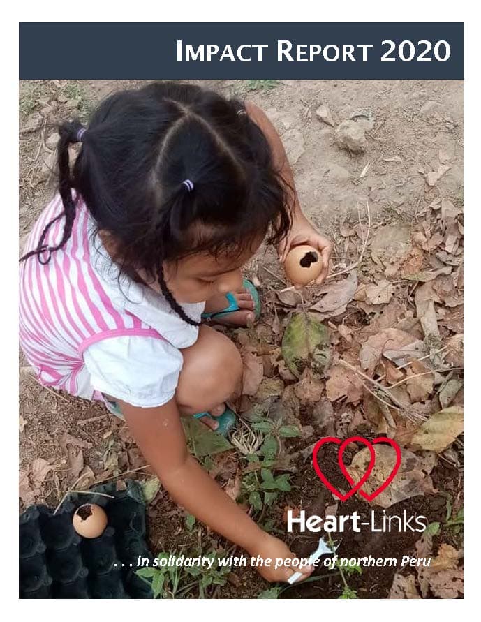 Front page of impact report shows little girl planting seeds