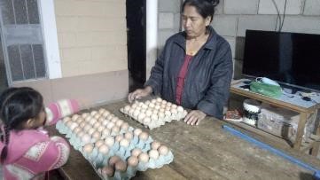 women stands by table with trays of eggs on it while a child looks at the eggs