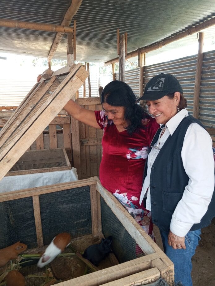 two women look into a guinea pig cage